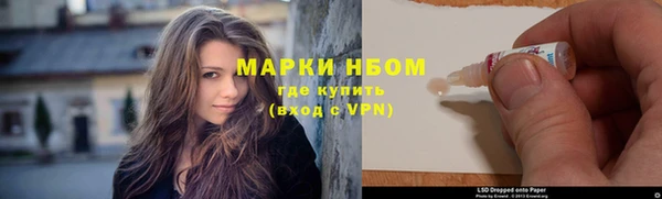 индика Алексеевка