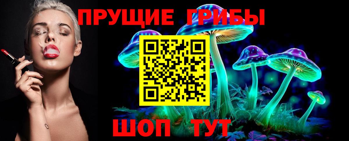 продажа наркотиков  Вход с VPN  Качканар  Галлюциногенные грибы Magic Shrooms 